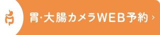 胃・大腸カメラWEB予約