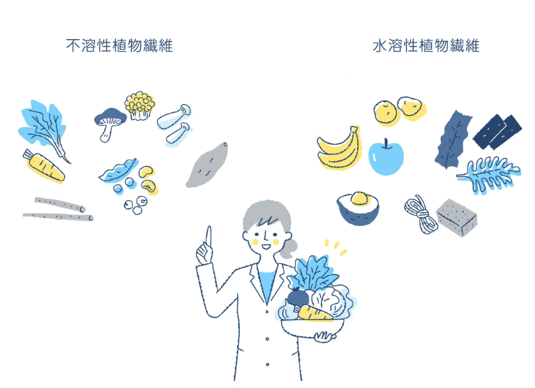 食物繊維の種類